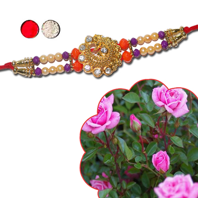 "Fancy Rakhi - FR- 8070 A (Single Rakhi), Pink Rose Plant - Click here to View more details about this Product